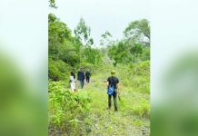 The proposal to declare four upland towns in Antique – Patnongon, San Remigio, Sibalom, and Valderrama – as mineral reservation could threaten the province’s environmental integrity, community well-being, and sustainable development goals. Photo shows San Remigio’s verdant forest. SAN REMIGIO MENRO PHOTO