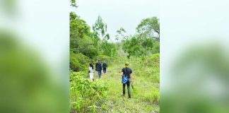 The proposal to declare four upland towns in Antique – Patnongon, San Remigio, Sibalom, and Valderrama – as mineral reservation could threaten the province’s environmental integrity, community well-being, and sustainable development goals. Photo shows San Remigio’s verdant forest. SAN REMIGIO MENRO PHOTO