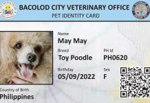 The pet identification card to be issued by the Bacolod City Veterinary Office contains the pet’s name, breed, birth date, and country of birth, among others.