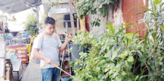 In an effort to combat dengue, the Iloilo City Health Office’s environmental misting team carries out fogging operations in Barangay Zamora-Melliza, as seen in this undated photo. Dr. Mary Ann Diaz, the city’s health officer-in-charge, reported that Iloilo City recorded 106 dengue cases and one fatality from January 1 to February 22, marking a slight decrease from the 119 cases reported during the same period last year. PHOTO FROM CHO FB PAGE