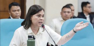 Nine Ilonggo lawmakers said they endorsed the impeachment complaints against Vice President Duterte-Carpio to ensure that she would have the opportunity to present her case in the proper forum. Photo shows Duterte-Carpio attending a hearing for the Office of the Vice President's 2025 budget at the House of Representatives in August 2024. HOUSE OF REPRESENTATIVES/FILE PHOTO