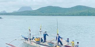 The Bureau of Fisheries and Aquatic Resources urges fishermen to engage in responsible fishing practices now that commercial fishing for sardines, herrings and mackerels has resumed in Visayan Sea. PHOTO COURTESY OF PAN DE AZUCAR EYESHOT