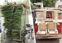 These illegally transported nipa shingles and chairs made of Gmelina species were intercepted by Monitoring and Enforcement Section of the Capiz Provincial Environment and Natural Resources Office. DENR PENRO CAPIZ PHOTOS