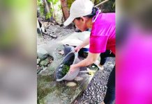 Barangay Health Workers, along with residents of Barangay Casalsagan, Pototan, Iloilo, are seen draining containers with stagnant water as part of the “search and destroy” efforts to eliminate mosquito breeding sites. Barangay Casalsagan is one of many barangays in Iloilo Province actively participating in the “Alas-Kwatro Kontra Dengue Mosquito” campaign. Photo from Pototan Rural Health Unit Birthing Center & Primary Healthcare Facility Facebook Page