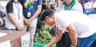 President Ferdinand Marcos Jr. checks the “Kadiwa ng Pangulo” store set up during the “Trabaho para sa Bagong Pilipinas para sa 4Ps” job fair at the Iloilo Sports Complex in La Paz, Iloilo City on February 13. PCO