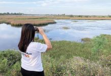 BIRD-WATCHING FOR CONSERVATION. In celebration of World Wetlands Day, the Iloilo Provincial Government Environment and Natural Resources Office led a bird-watching activity in Barangay Talauguis, Zarraga, Iloilo. The wetland serves as a vital habitat for migratory birds, including egrets, showing the province’s rich biodiversity and underscoring the need for conservation efforts. PENRO-LGU ILOILO IPG