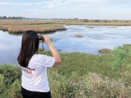 BIRD-WATCHING FOR CONSERVATION. In celebration of World Wetlands Day, the Iloilo Provincial Government Environment and Natural Resources Office led a bird-watching activity in Barangay Talauguis, Zarraga, Iloilo. The wetland serves as a vital habitat for migratory birds, including egrets, showing the province’s rich biodiversity and underscoring the need for conservation efforts. PENRO-LGU ILOILO IPG