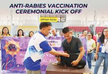 To ensure widespread vaccination, the Iloilo provincial government has allocated P9 million for the procurement of approximately 21,000 vials of rabies vaccine. This is expected to immunize 210,000 dogs across the province. Photo from Office of the Provincial Veterinarian Facebook Page