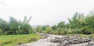 Continuous rainfall has transformed ash deposits into mudflows along the Buhangin River which flows along La Castellana and Moises Padilla towns in Negros Occidental. The mudflows were preceded by a minor explosive eruption of Kanlon volcano at 3:11 p.m. on February 6, 2025. TASK FORCE KANLAON RIMT / LA CASTELLANA MDRRMO