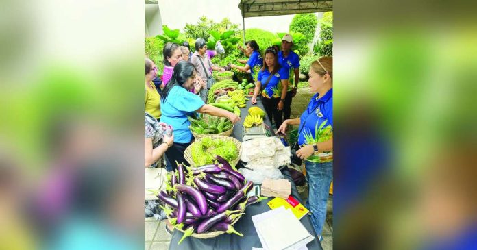 Vegetables, eggs, fruits, and homemade delicacies were sold at “Lab Merkado KNP” (Kadiwa ng Pangulo) at the Atrium of the Bacolod City Government Center on February 13 and 14. BCNC PHOTO