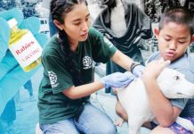 The Department of Health urges the public to ensure that their pets are vaccinated annually to prevent rabies infection. According to the DOH, in the past five years, a total of 1,750 Filipinos have died due to rabies. REUTERS/DANIELLA MARIE AGACER