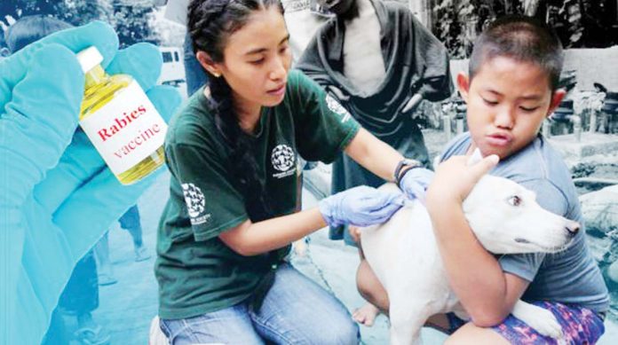 The Department of Health urges the public to ensure that their pets are vaccinated annually to prevent rabies infection. According to the DOH, in the past five years, a total of 1,750 Filipinos have died due to rabies. REUTERS/DANIELLA MARIE AGACER