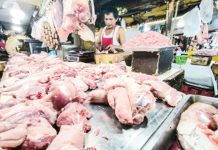 Data from the Negros Occidental Provincial Veterinary Office showed that as of March 3, 2025, the cheapest price of pork in the province was at P320 per kilogram in Isabela town and the most expensive ranged from P373 to P400 per kilogram in San Carlos City and the towns of Pulupandan, San Enrique and Hinobaan. PNA FILE PHOTO