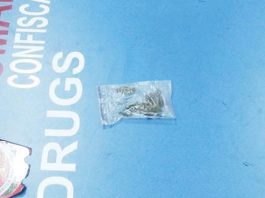 Authorities found marijuana inside a small plastic ziplock bag from alias “Leony” at the port in Dumangas, Iloilo on Sunday afternoon, March 16, 2025. BOMBO RADYO ILOILO 837KHZ/FACEBOOK PHOTO