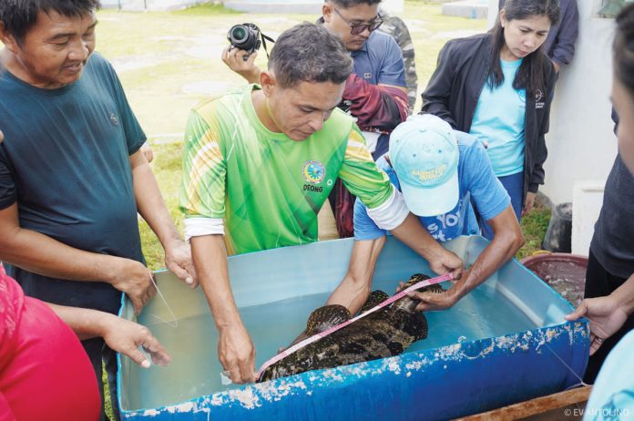 The Ministry of Agriculture, Fisheries, and Agrarian Reform-Bangsamoro Autonomous Region in Muslim Mindanao partnered with the Southeast Asian Fisheries Development Center to train its extension workers and local fishers in marine fish farming. EV ANTOLINO PHOTO